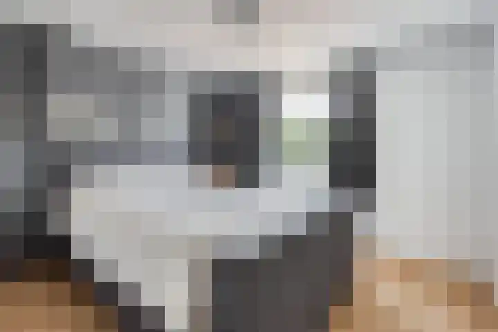 Hoofdstraat 54 Overdinkel thumbnail 18