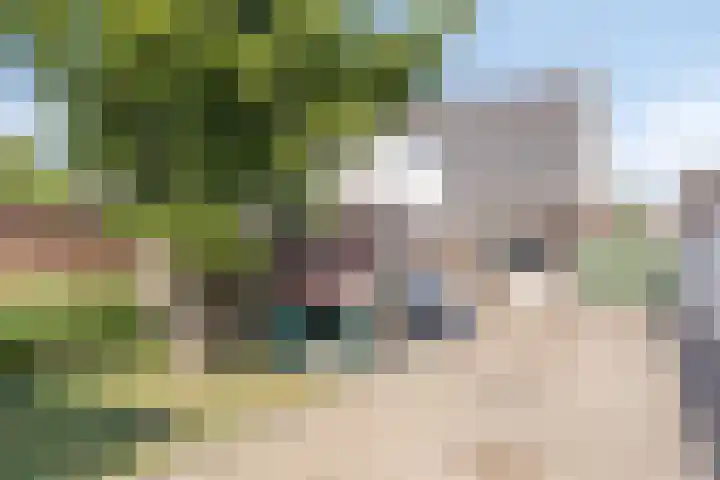 Hoofdstraat 54 Overdinkel thumbnail 24