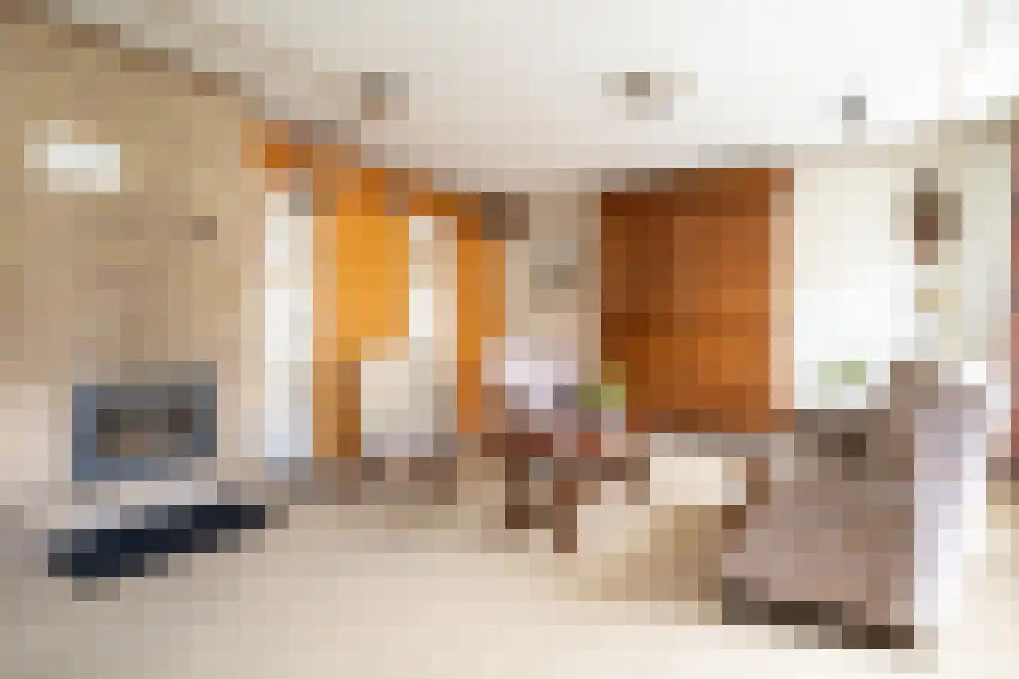 Hoofdstraat 55 Diever thumbnail 10