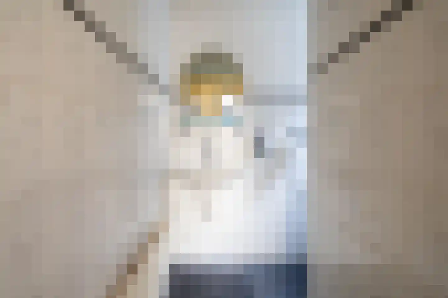 Hoofdstraat 55 Diever thumbnail 15