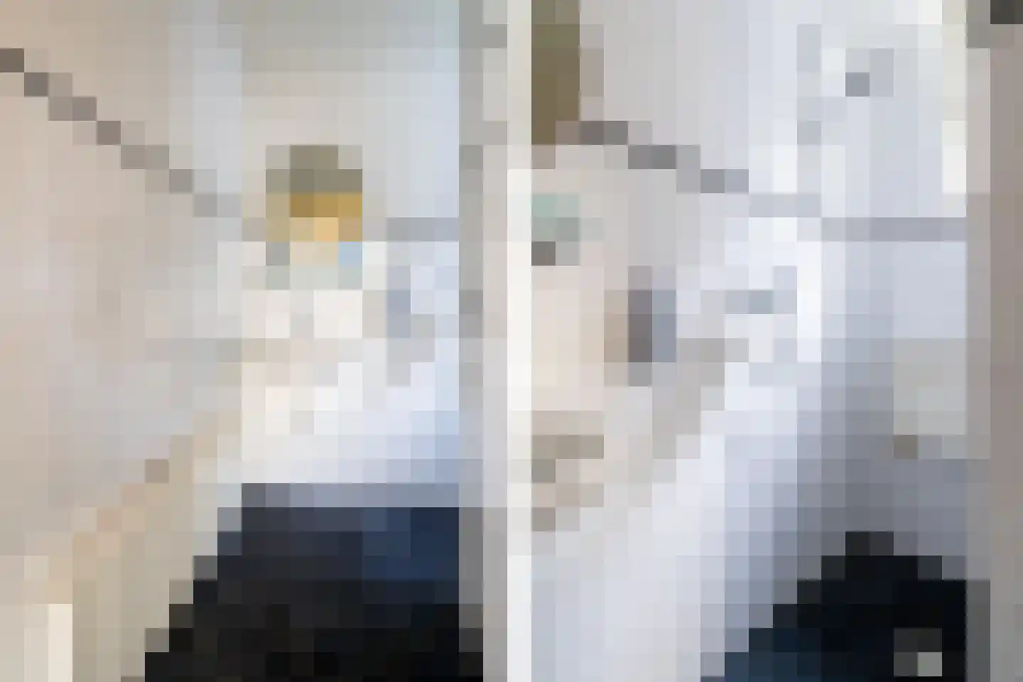 Hoofdstraat 55 Diever thumbnail 16