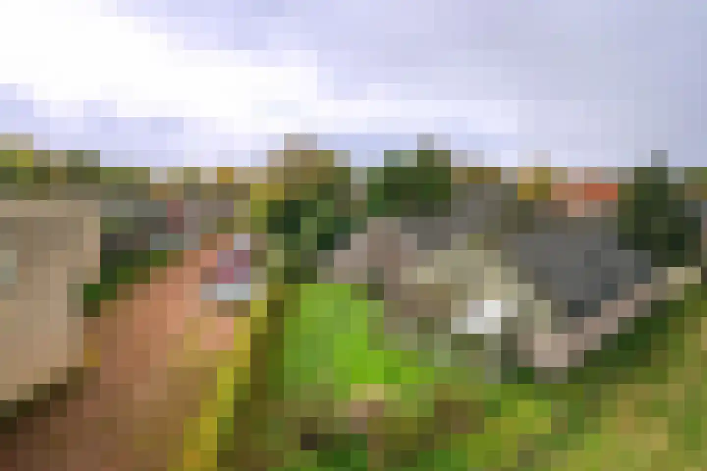 Hoofdstraat 55 Diever thumbnail 33