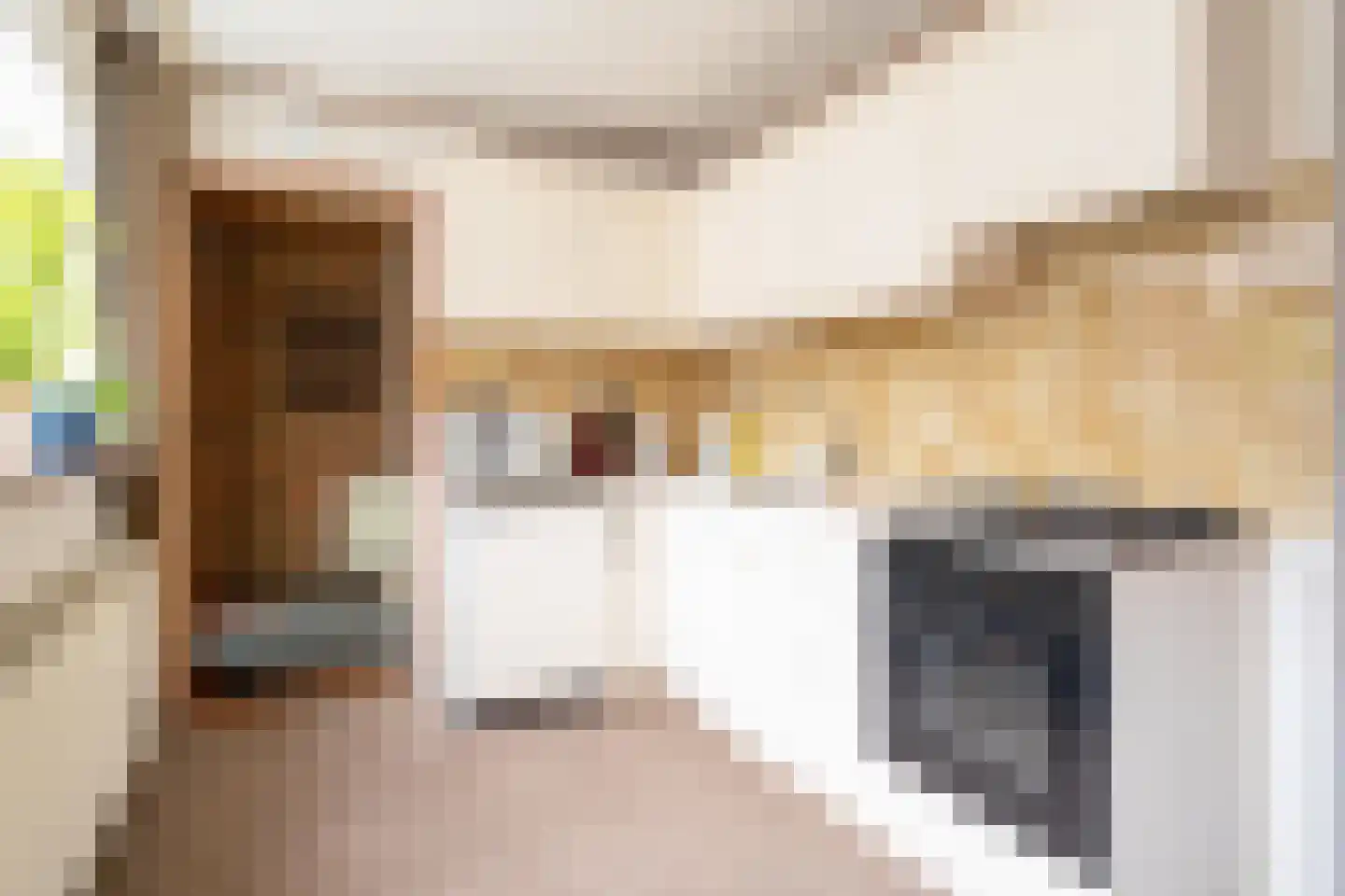 Hoofdstraat 55 Diever thumbnail 9