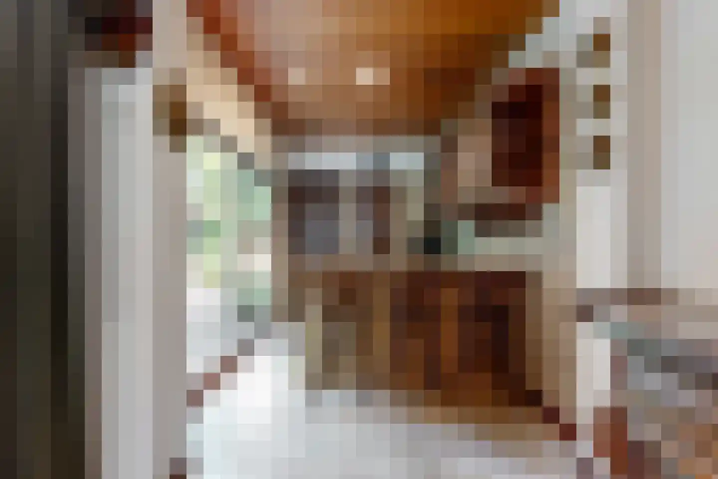 Hoofdstraat 55 Leiderdorp thumbnail 11