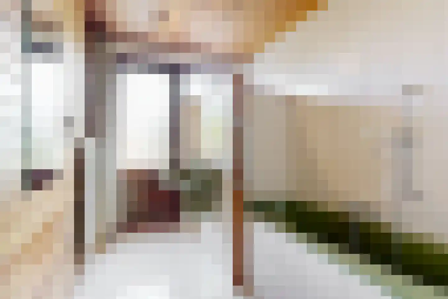 Hoofdstraat 55 Leiderdorp thumbnail 23