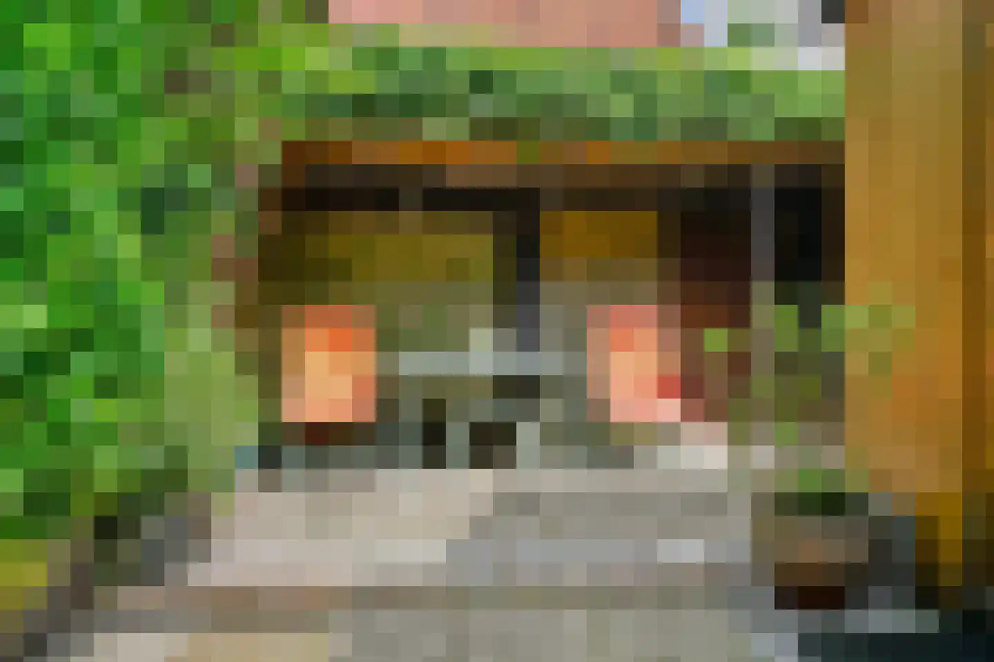Hoofdstraat 55 Leiderdorp thumbnail 27