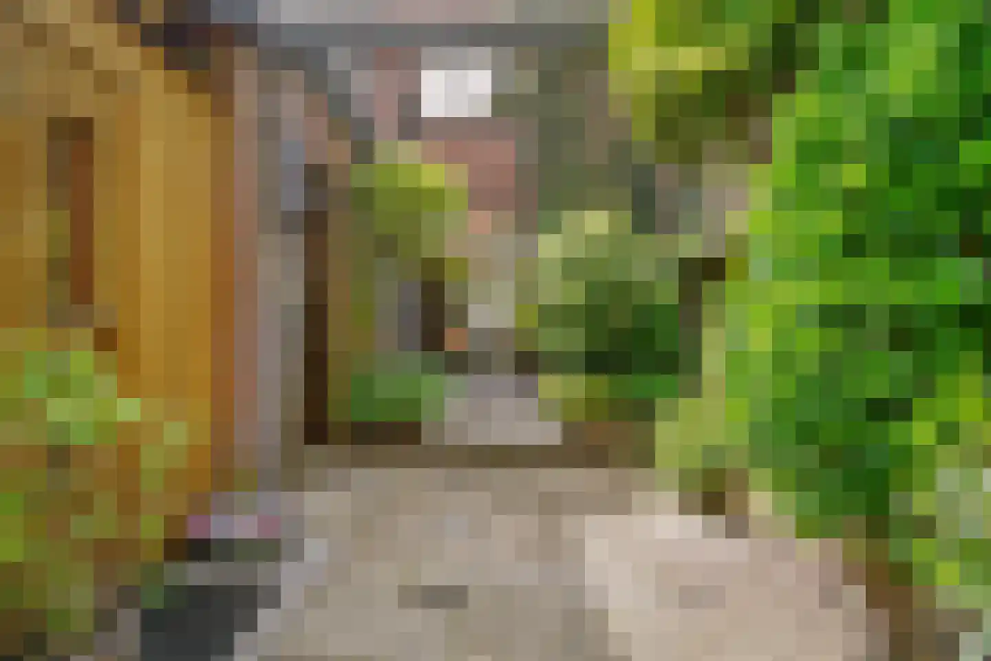 Hoofdstraat 55 Leiderdorp thumbnail 32