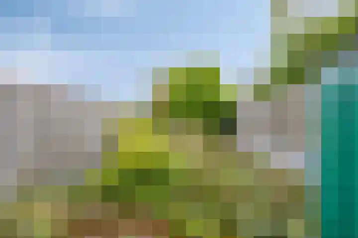 Hoofdstraat 56 a Zevenbergschen Hoek thumbnail 37