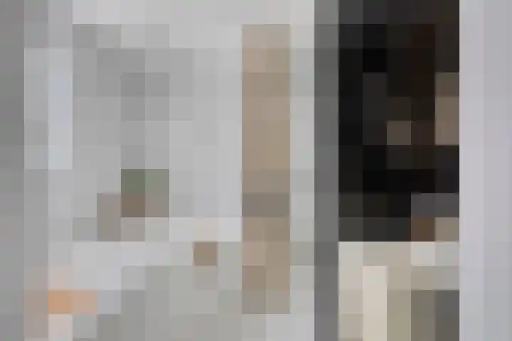 Hoofdstraat 56 a Zevenbergschen Hoek thumbnail 4