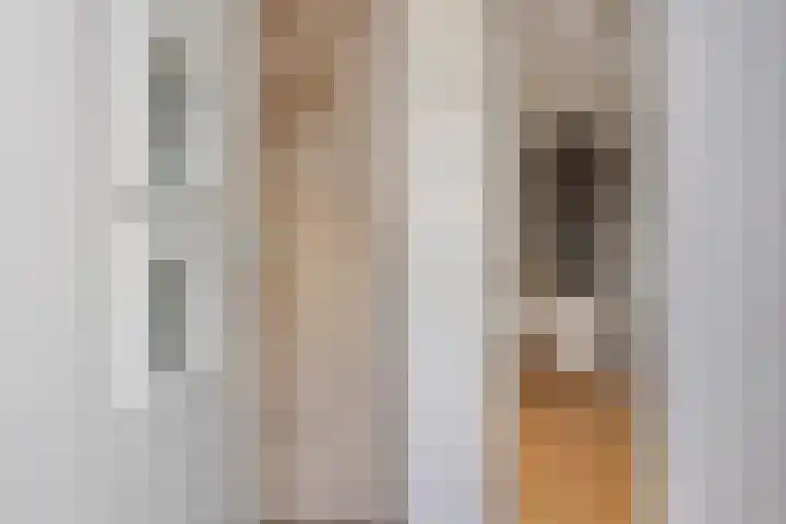 Hoofdstraat 56 a Zevenbergschen Hoek thumbnail 7