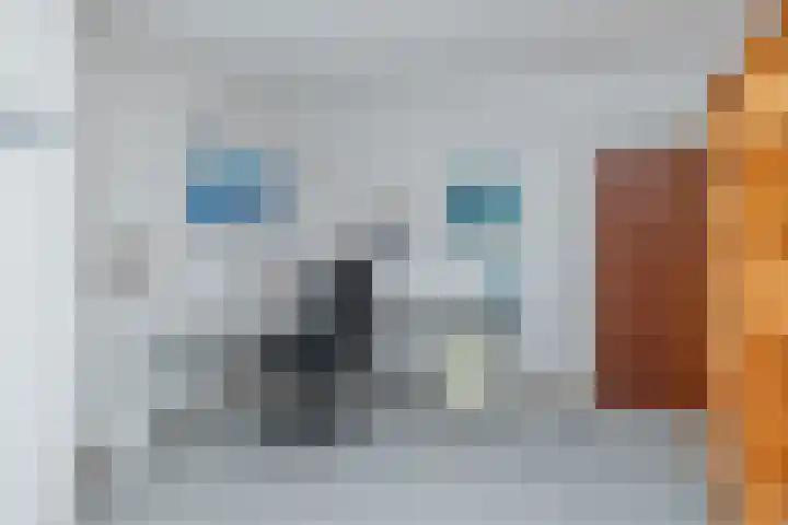 Hoofdstraat 56 b Sassenheim thumbnail 31