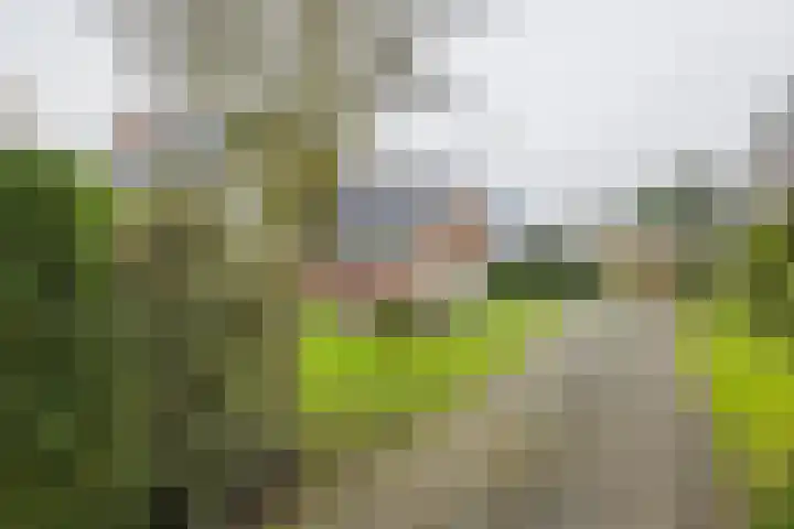 Hoofdstraat 56 b Sassenheim thumbnail 53
