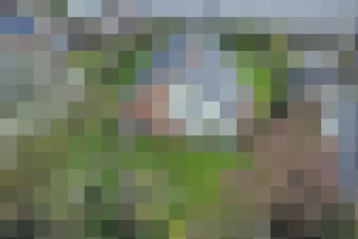 Hoofdstraat 56 b Sassenheim thumbnail 57