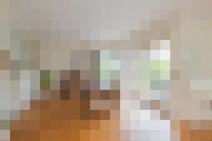 Hoofdstraat 56 b Sassenheim thumbnail 9