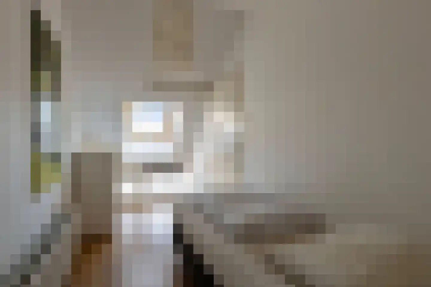 Hoofdstraat 56 Kortgene thumbnail 36