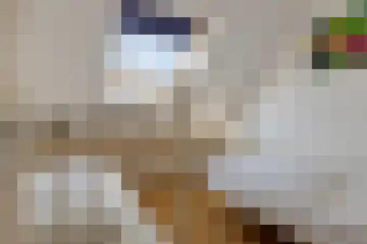 Hoofdstraat 56 Kortgene thumbnail 37