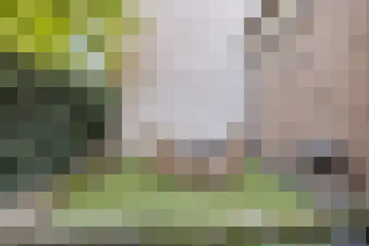 Hoofdstraat 56 Kortgene thumbnail 47