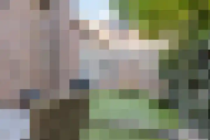 Hoofdstraat 56 Kortgene thumbnail 49