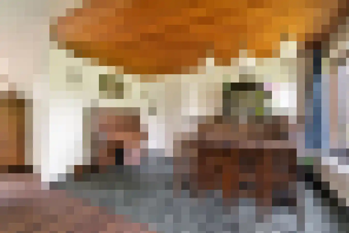 Hoofdstraat 56 Valkenburg thumbnail 12