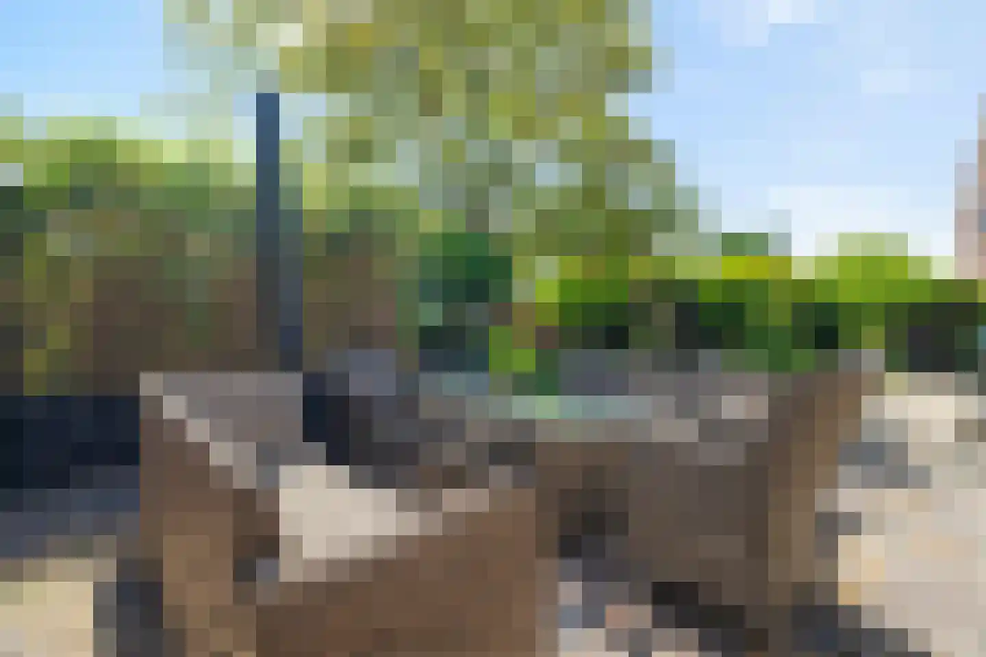 Hoofdstraat 56 Valkenburg thumbnail 6