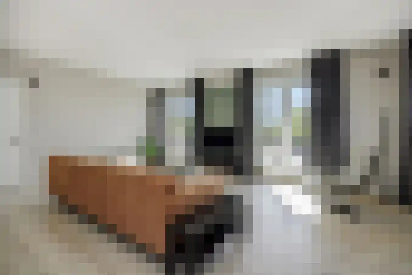 Hoofdstraat 57 Liessel thumbnail 11