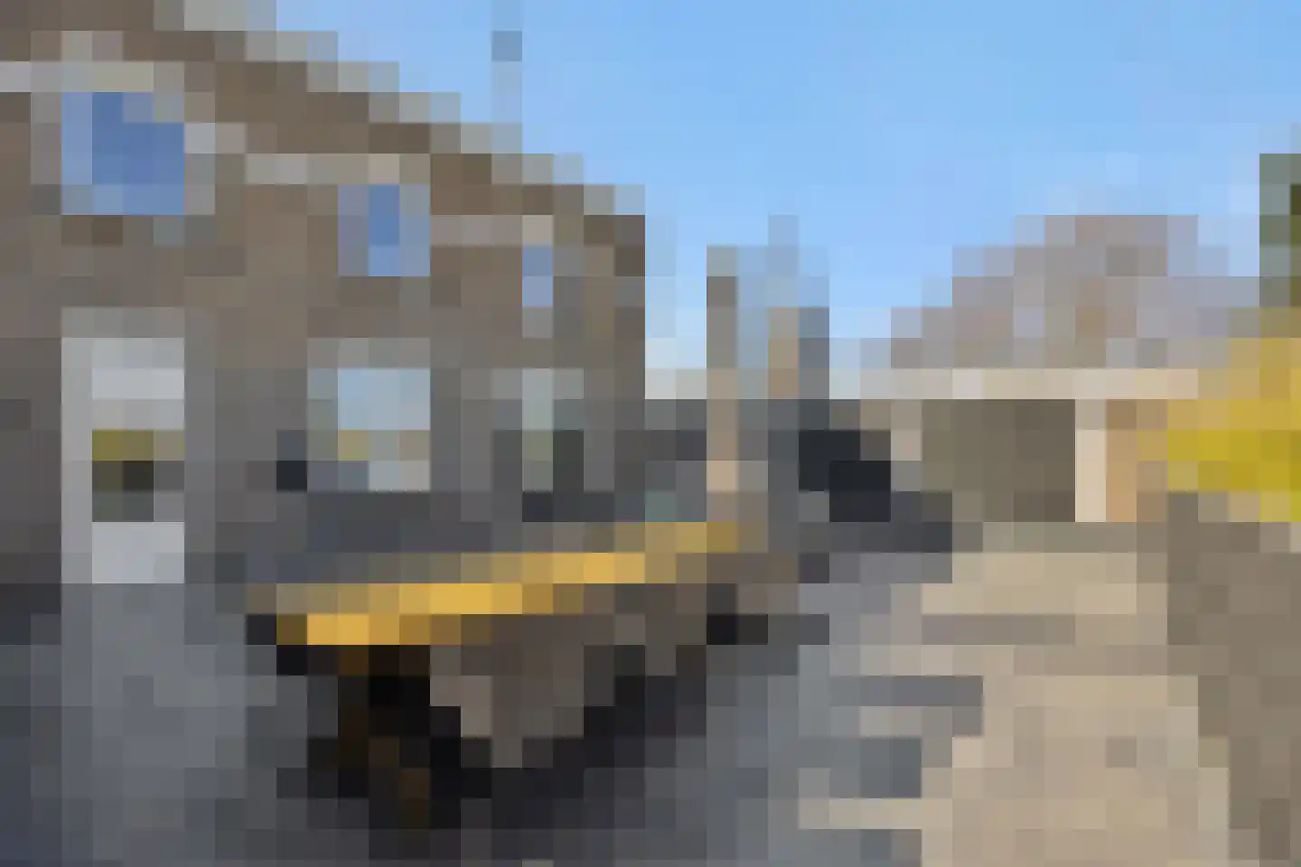 Hoofdstraat 57 Liessel thumbnail 23
