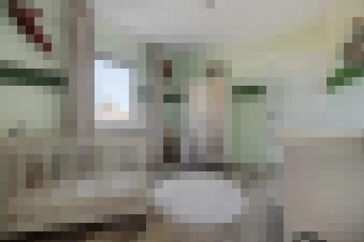 Hoofdstraat 57 Liessel thumbnail 30