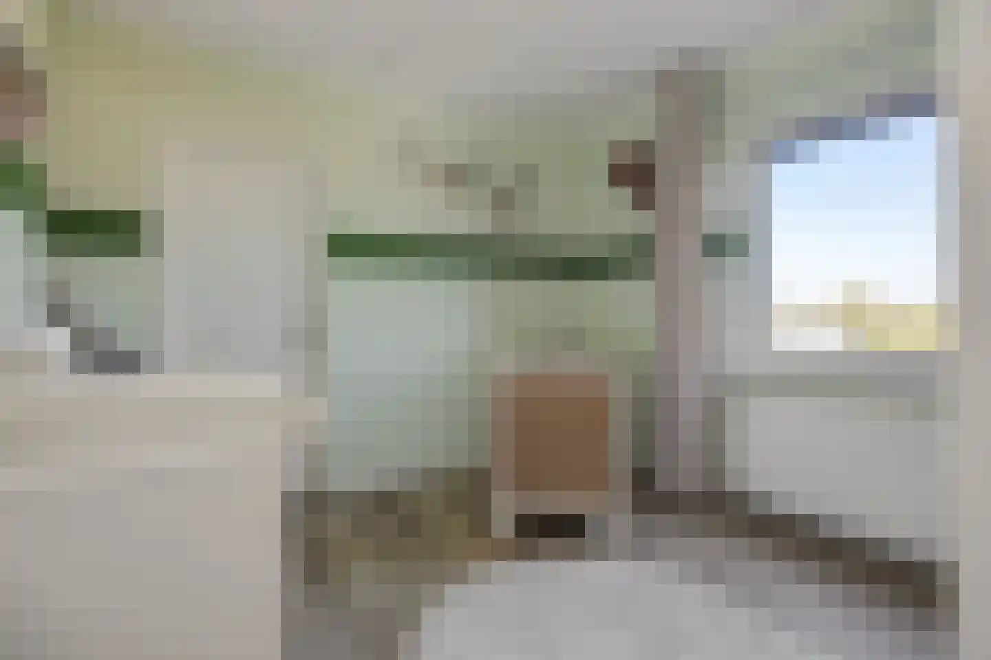 Hoofdstraat 57 Liessel thumbnail 31