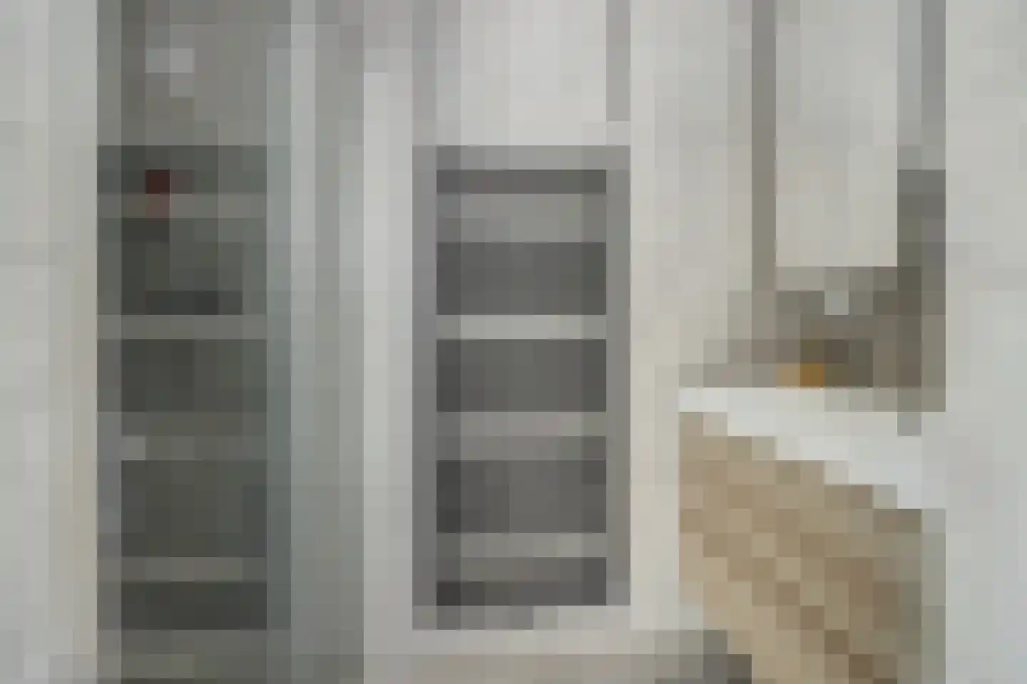 Hoofdstraat 57 Liessel thumbnail 35