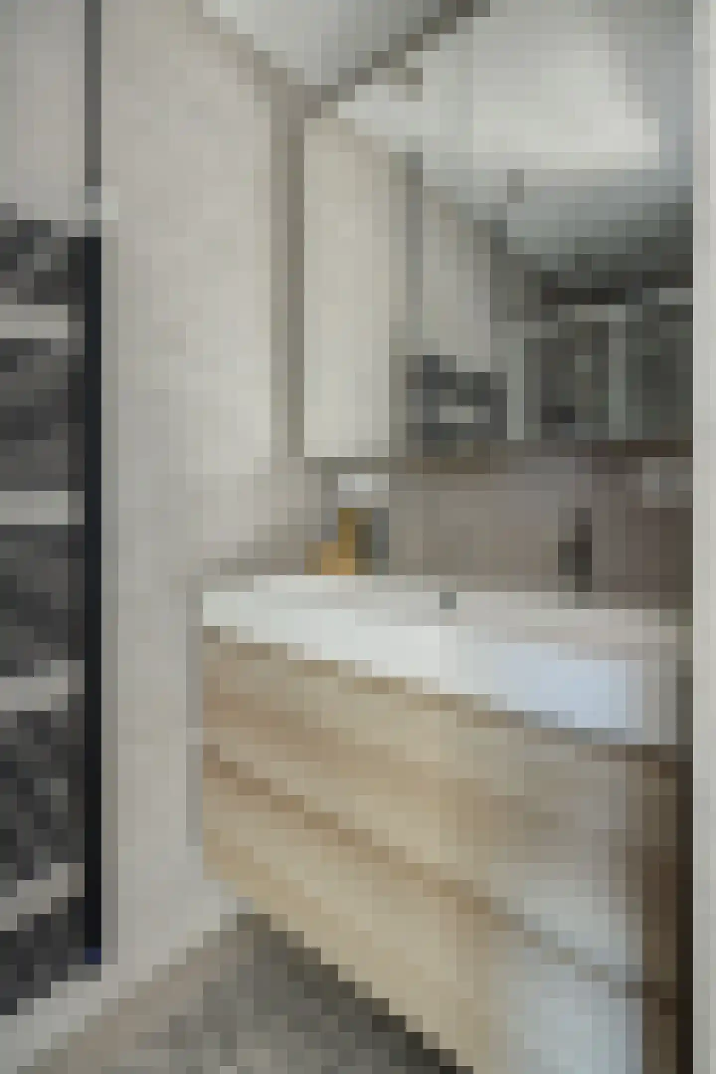 Hoofdstraat 57 Liessel thumbnail 36