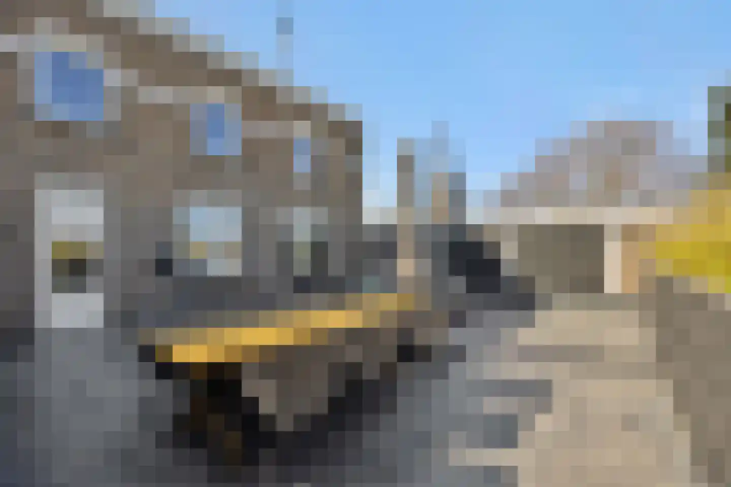 Hoofdstraat 57 Liessel thumbnail 4