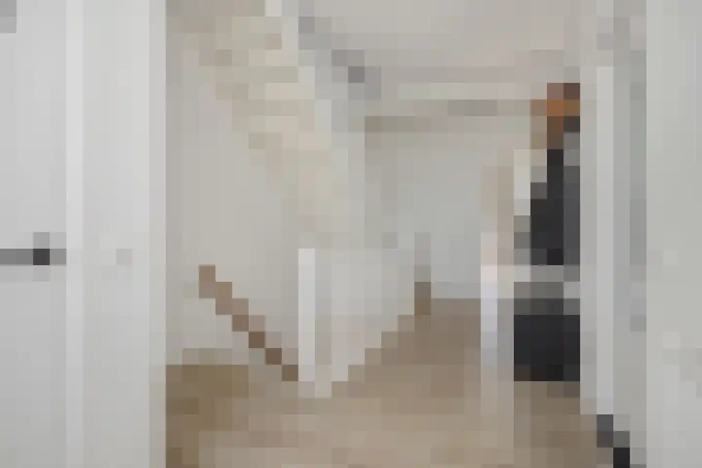 Hoofdstraat 57 Liessel thumbnail 8