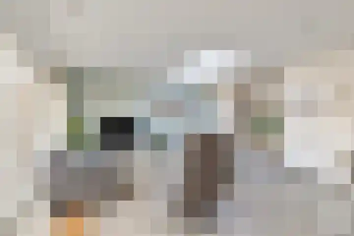 Hoofdstraat 57 Meerlo thumbnail 16