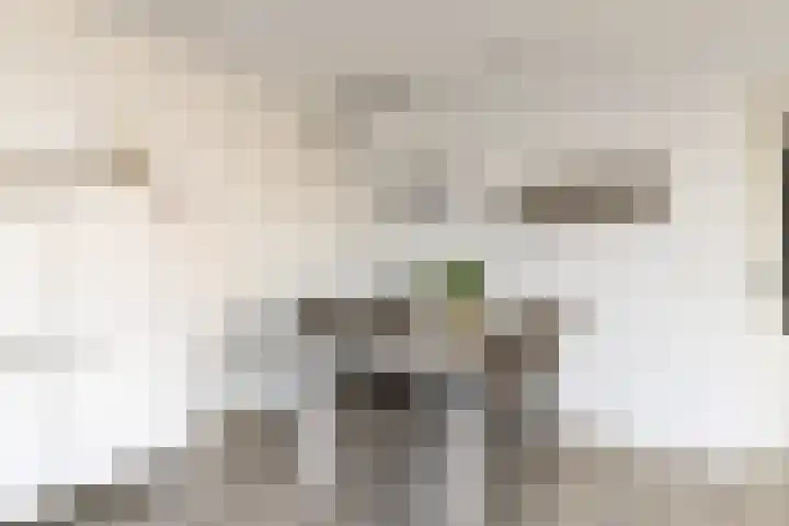 Hoofdstraat 57 Meerlo thumbnail 17