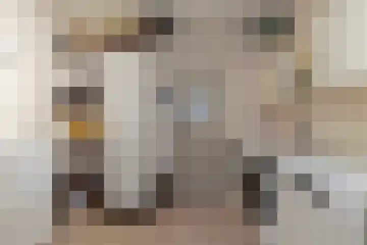 Hoofdstraat 57 Meerlo thumbnail 19