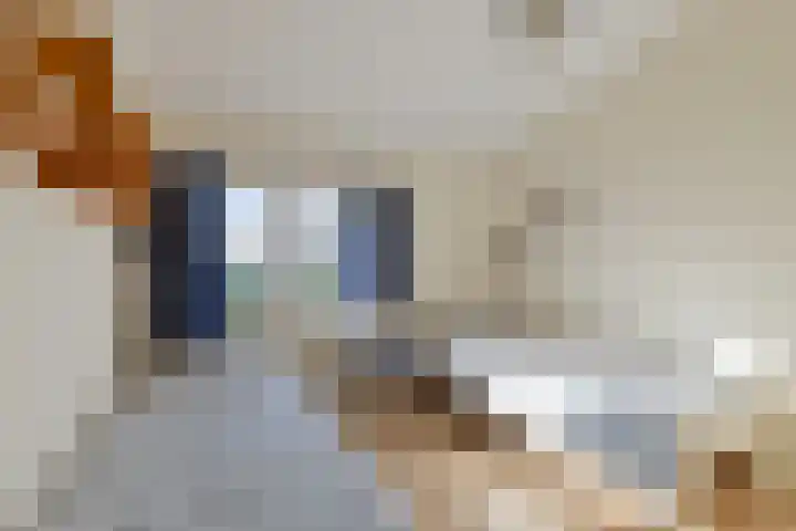 Hoofdstraat 57 Meerlo thumbnail 24