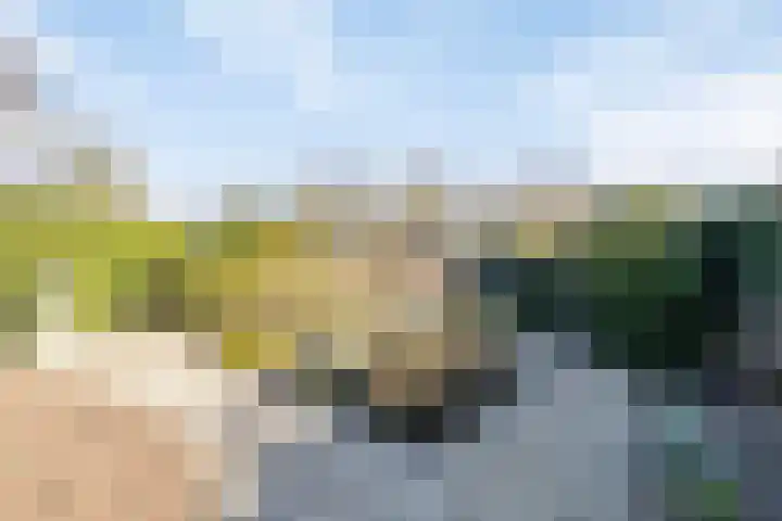 Hoofdstraat 57 Meerlo thumbnail 37
