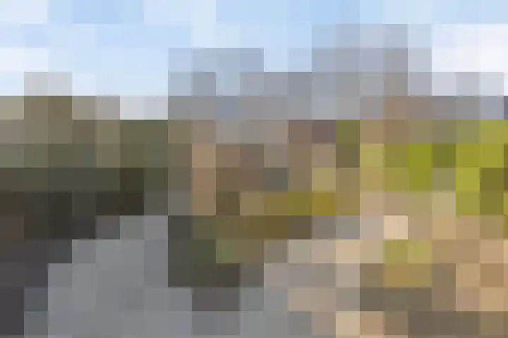 Hoofdstraat 57 Meerlo thumbnail 38