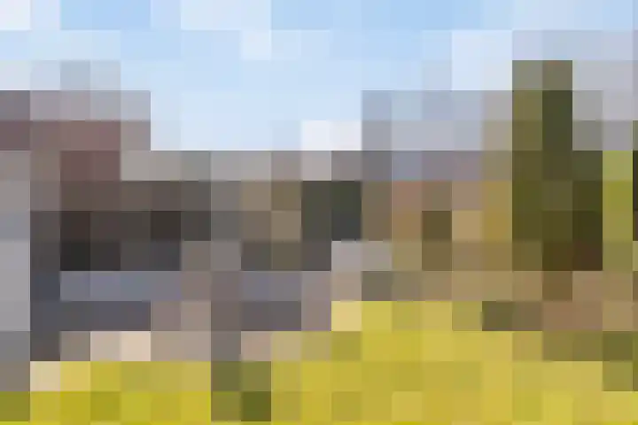 Hoofdstraat 57 Meerlo thumbnail 40