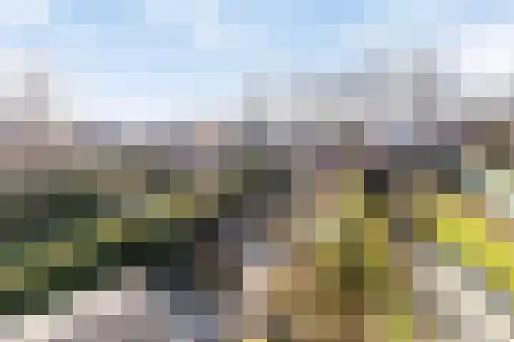 Hoofdstraat 57 Meerlo thumbnail 47