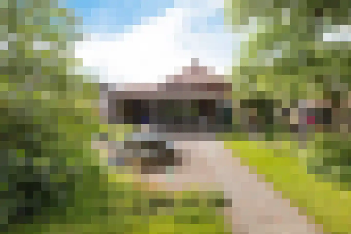 Hoofdstraat 57 Nieuwolda thumbnail 14