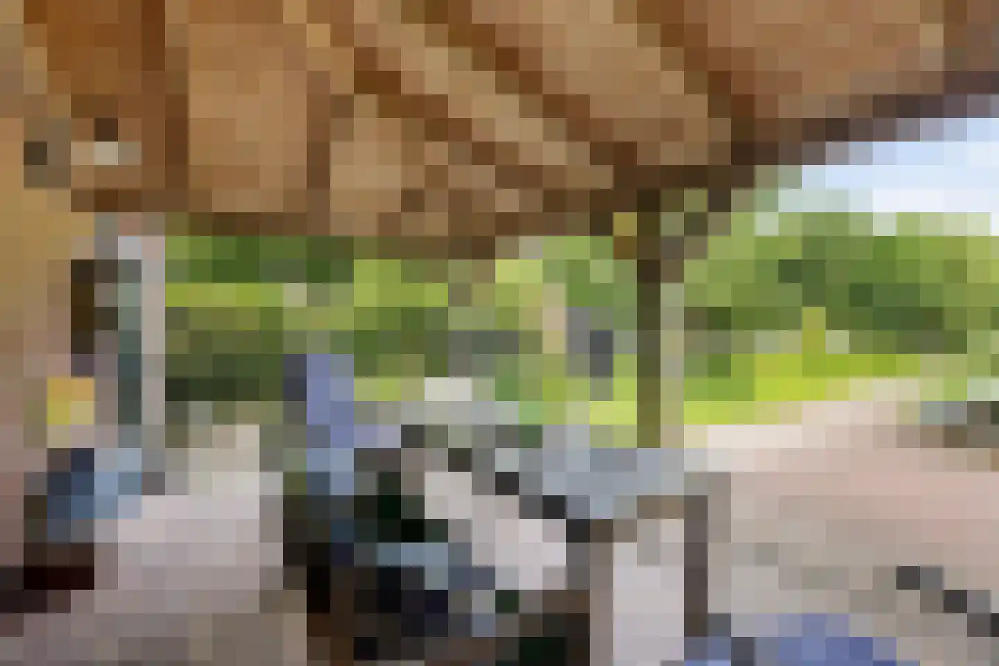 Hoofdstraat 57 Nieuwolda thumbnail 15