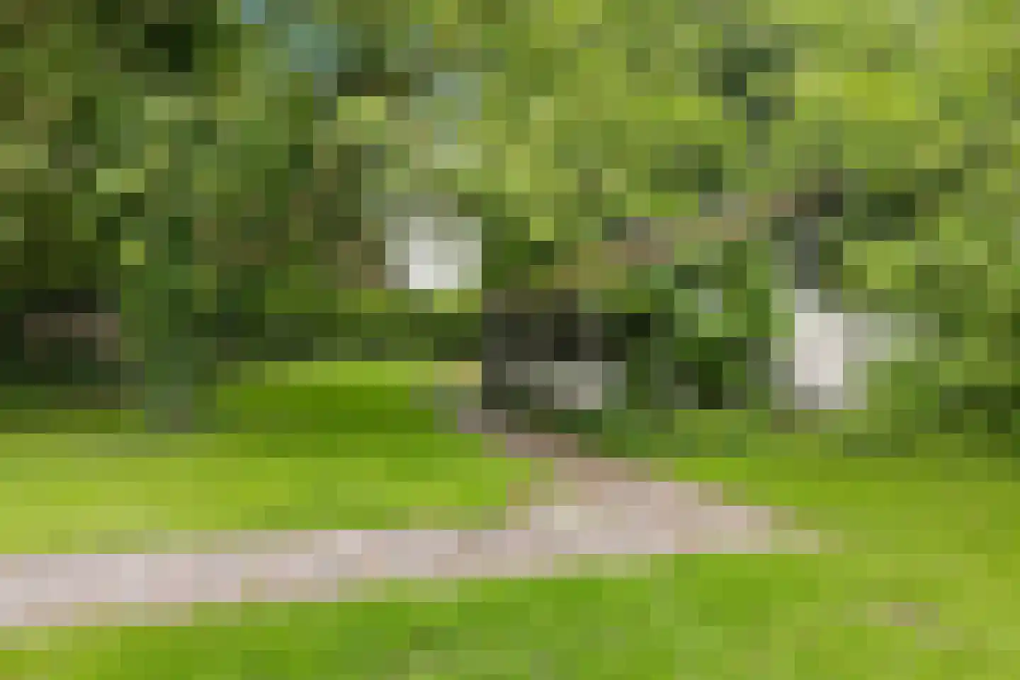 Hoofdstraat 57 Nieuwolda thumbnail 25
