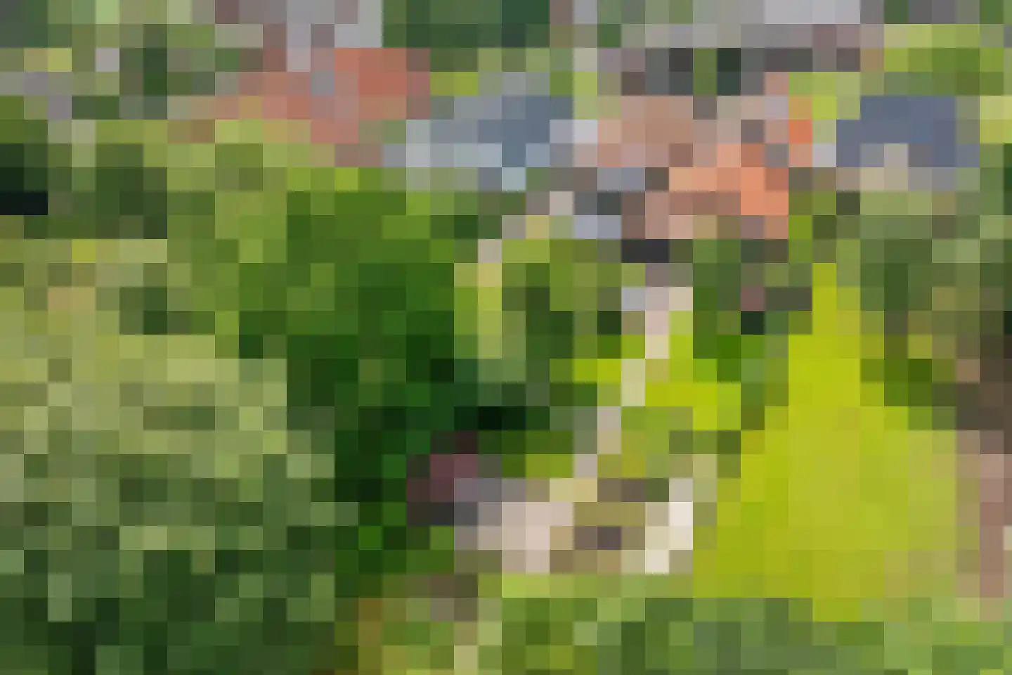Hoofdstraat 57 Nieuwolda thumbnail 32