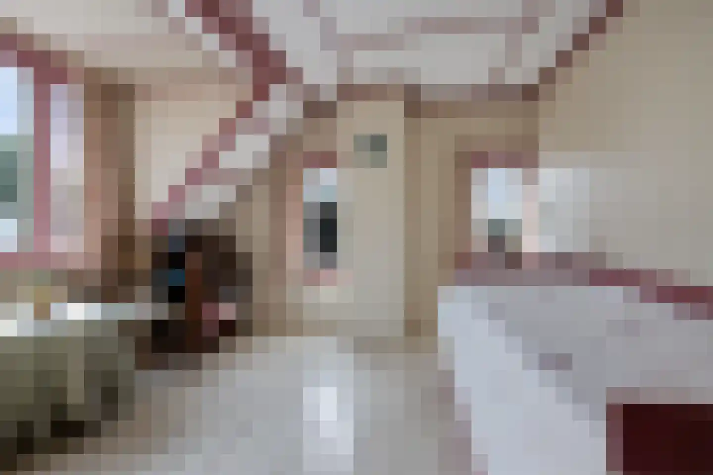 Hoofdstraat 57 Nieuwolda thumbnail 70