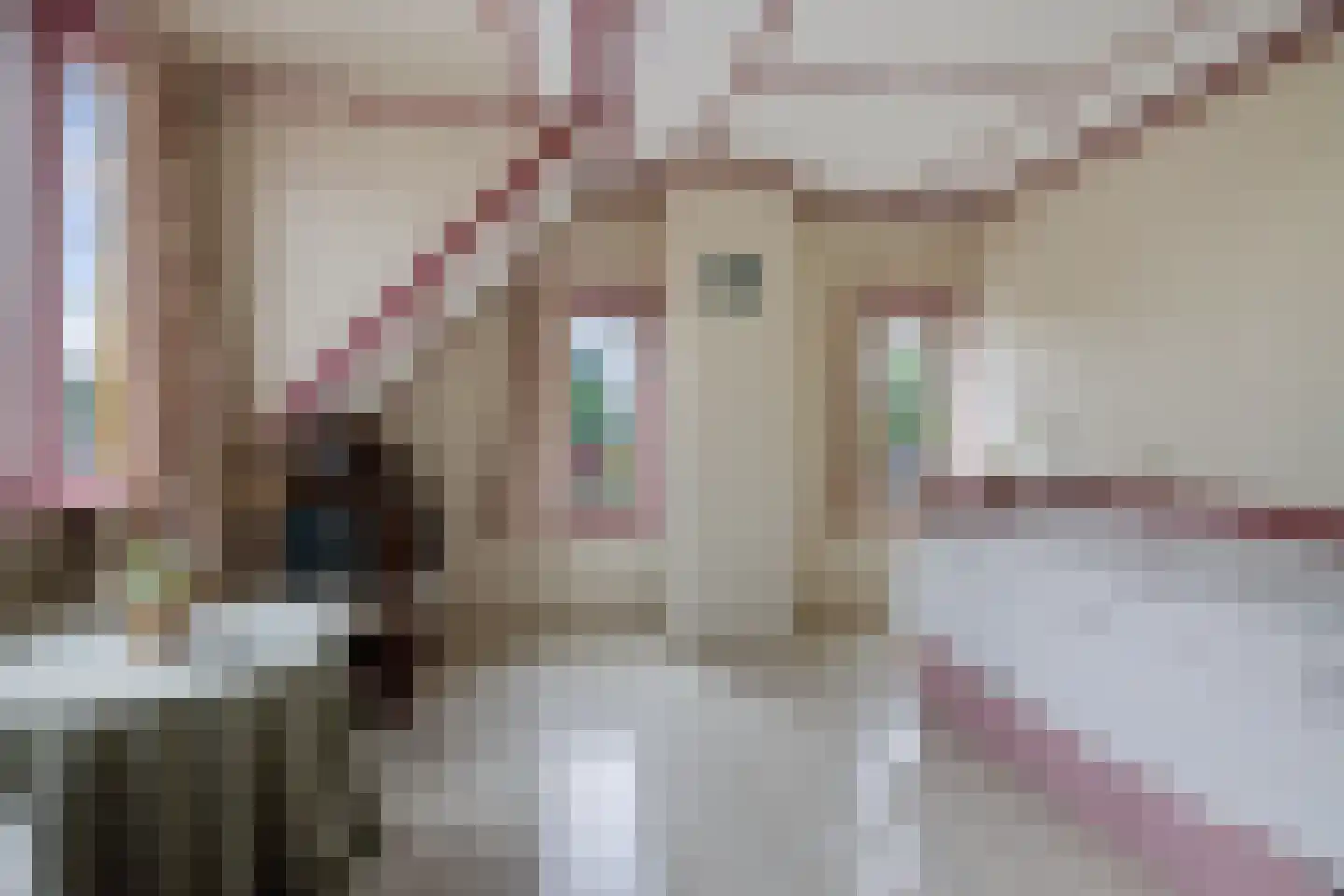Hoofdstraat 57 Nieuwolda thumbnail 72