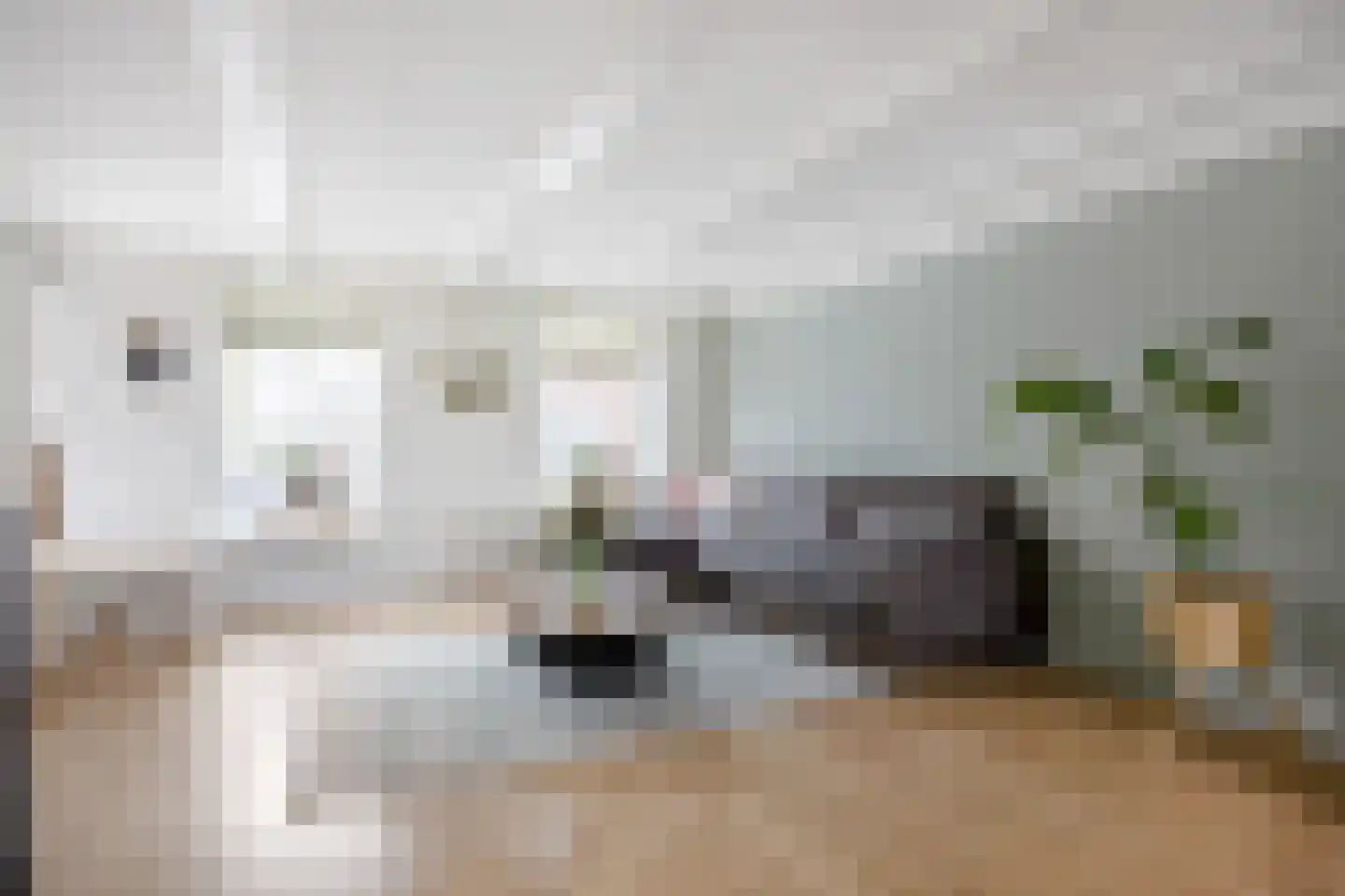 Hoofdstraat 57 Niezijl thumbnail 13