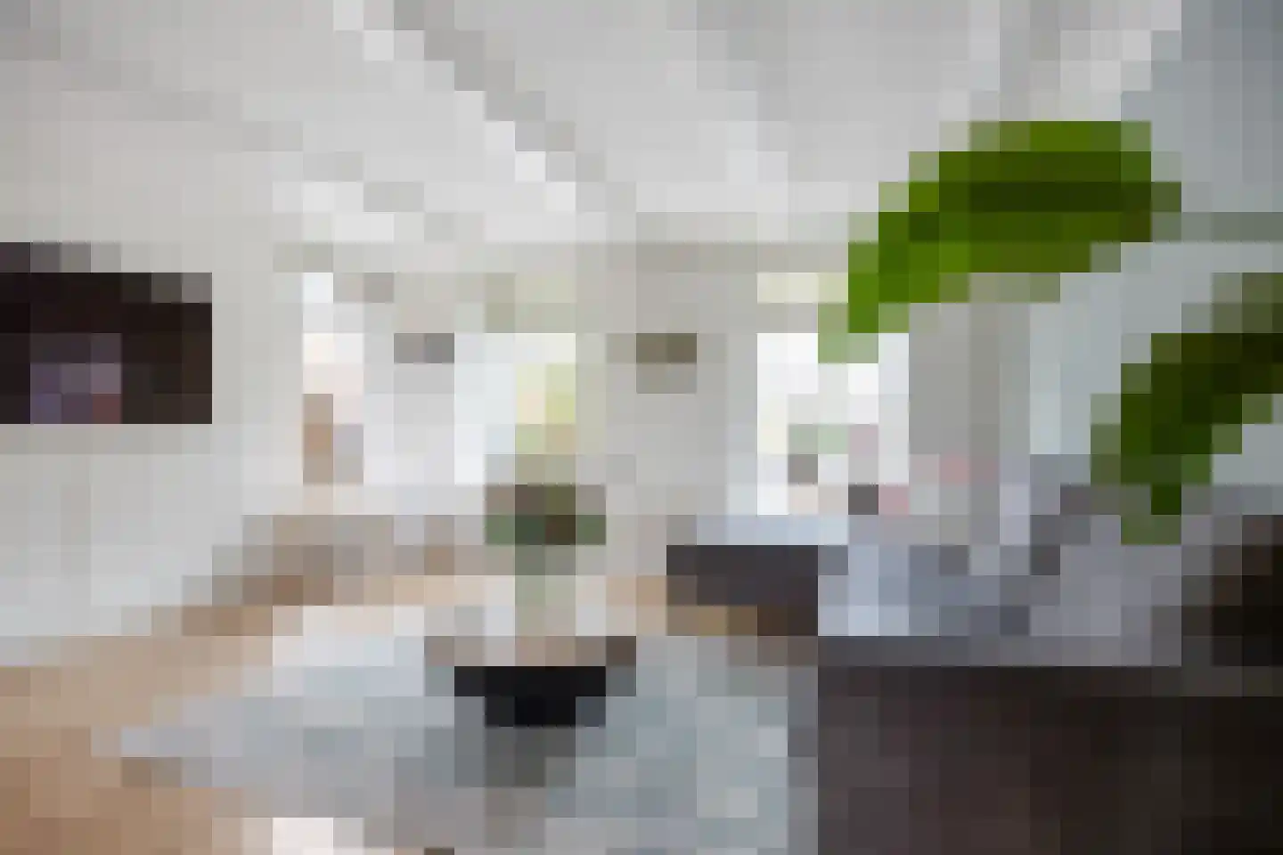 Hoofdstraat 57 Niezijl thumbnail 14