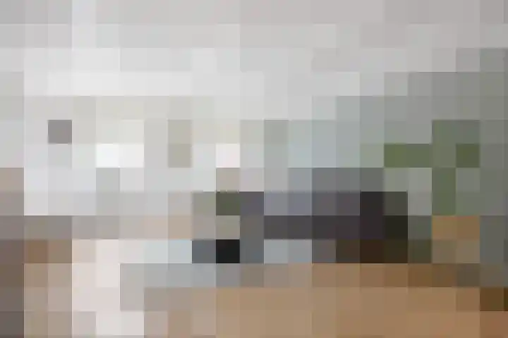 Hoofdstraat 57 Niezijl thumbnail 15