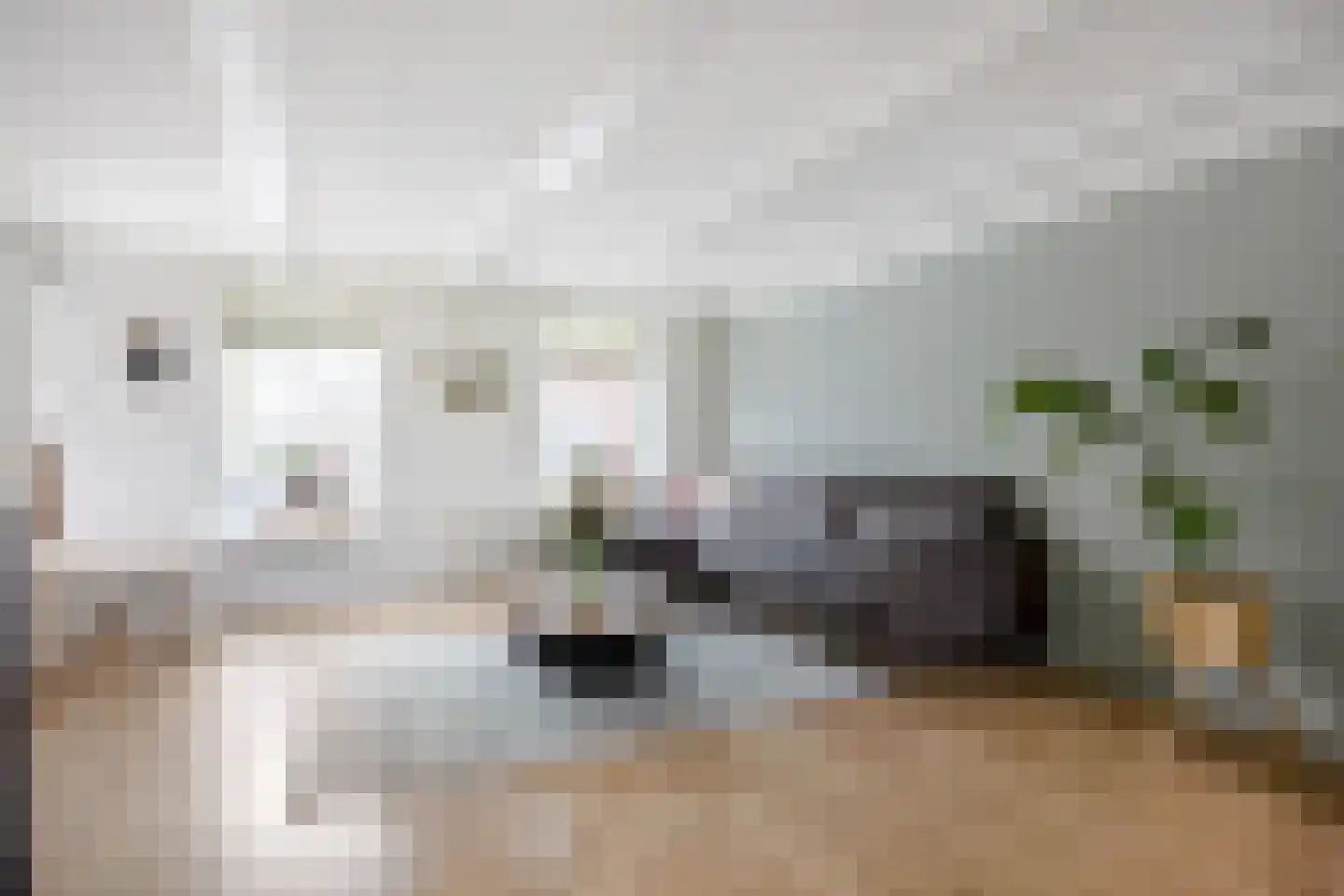 Hoofdstraat 57 Niezijl thumbnail 15